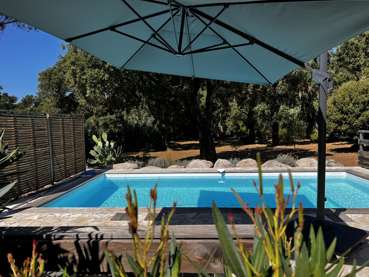 Piscine vue terrain