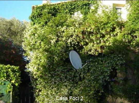 photo annonce 106