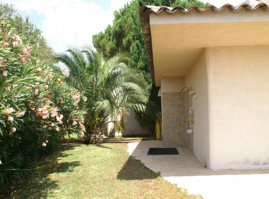 photo annonce 124