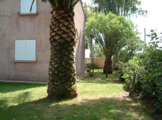 photo annonce 126