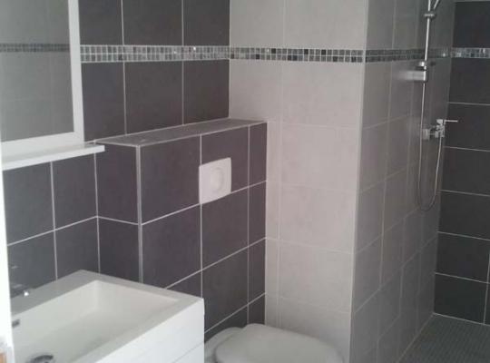 photo annonce 139