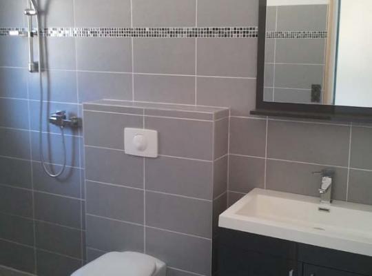 photo annonce 139