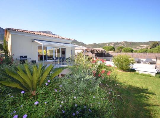 photo annonce 164