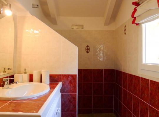 photo annonce 310