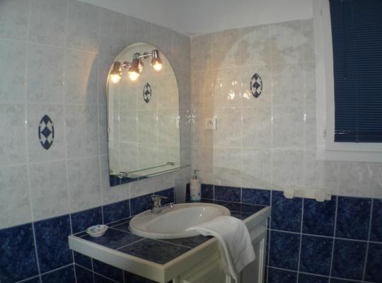photo annonce 310