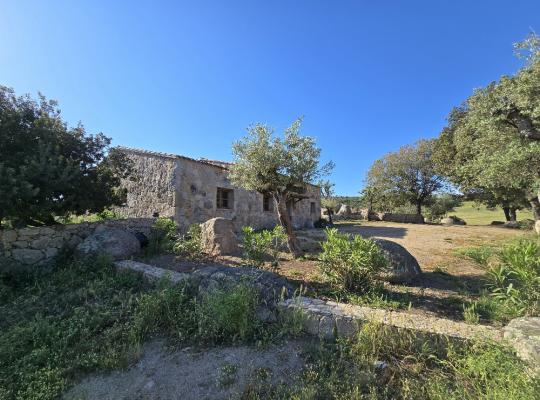 photo annonce 371