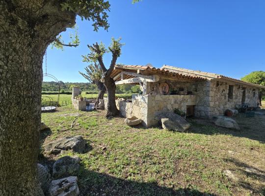 photo annonce 371