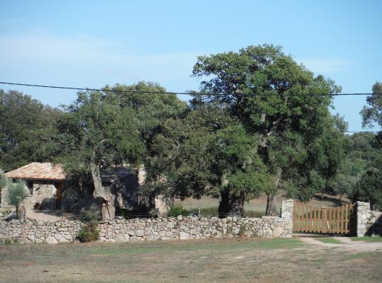 photo annonce 371