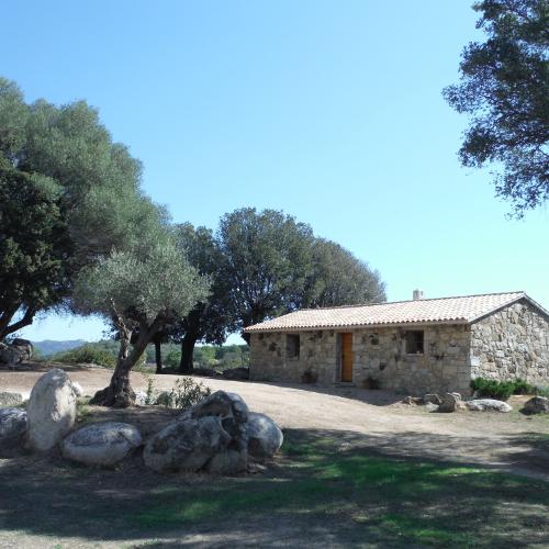 photo annonce 371