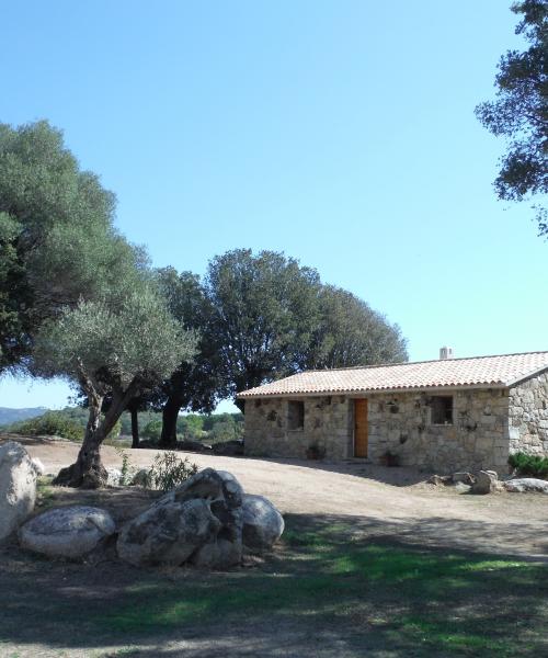 photo annonce 371