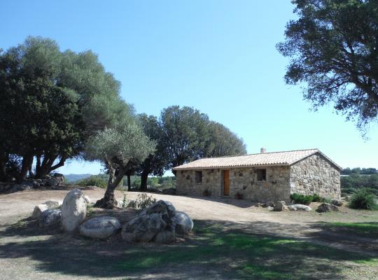 photo annonce 371