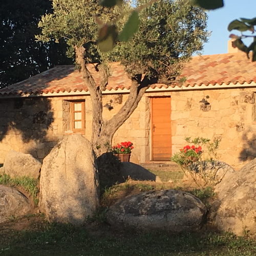 photo annonce 371