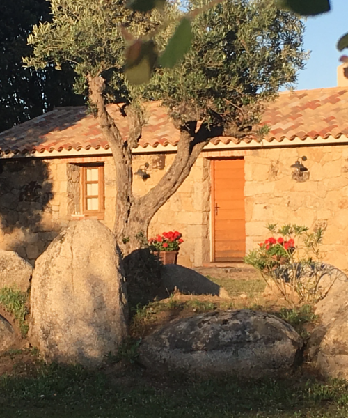 photo annonce 371