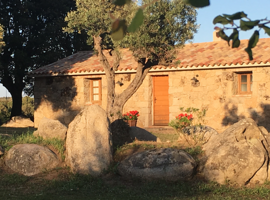 photo annonce 371