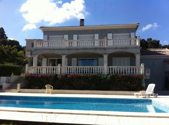 photo annonce 381
