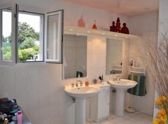 photo annonce 381