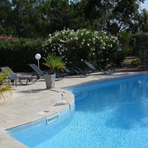 photo annonce 478