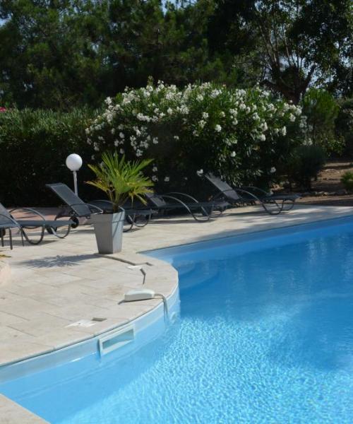 photo annonce 478