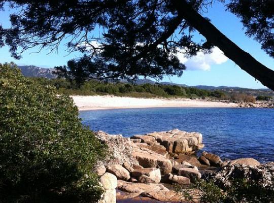 photo annonce 480