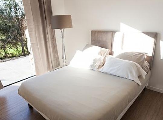 photo annonce 480
