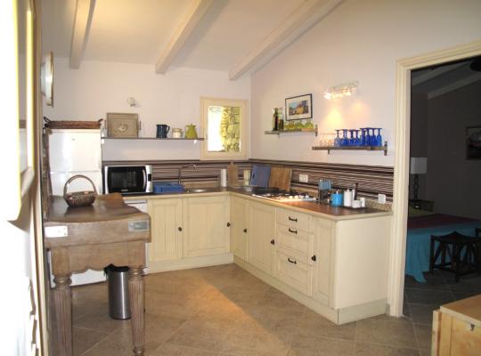 photo annonce 491