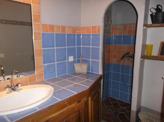 photo annonce 496
