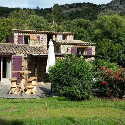 photo annonce 496