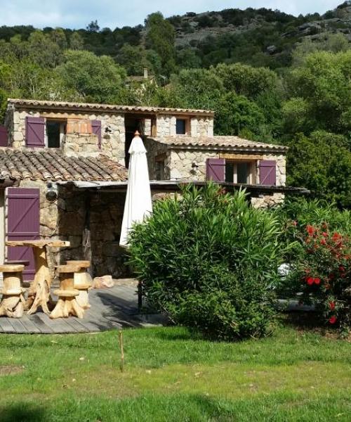 photo annonce 496