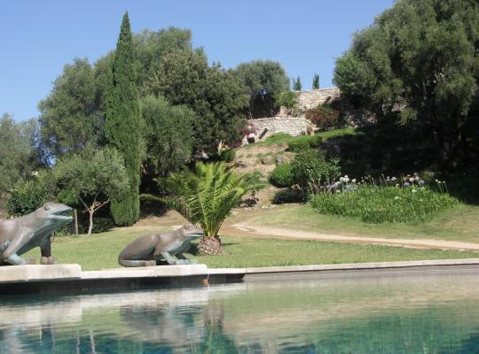 photo annonce 523