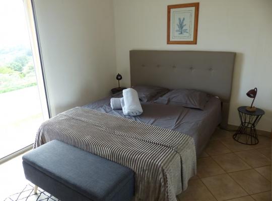 photo annonce 560