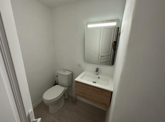 photo annonce 561