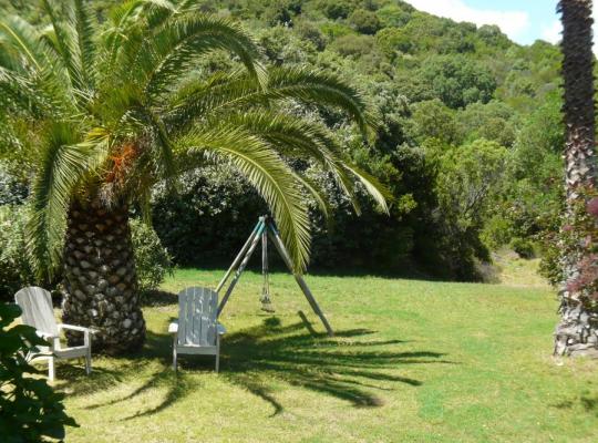 photo annonce 561