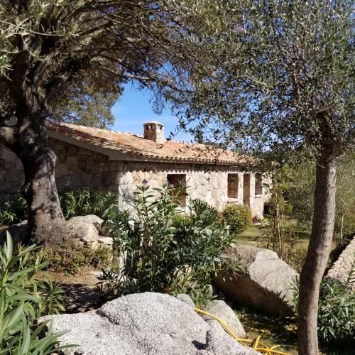 photo annonce 564
