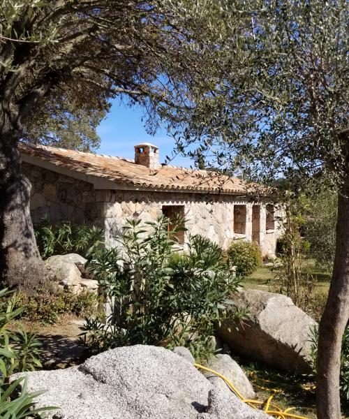 photo annonce 564