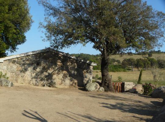photo annonce 564