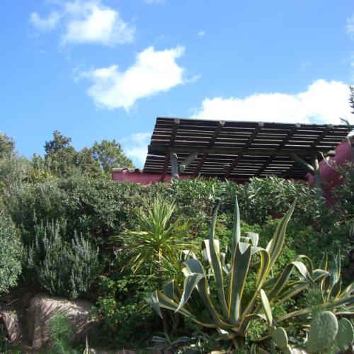 photo annonce 597