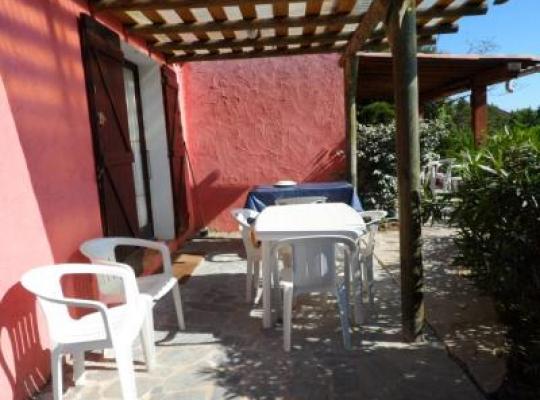 photo annonce 597