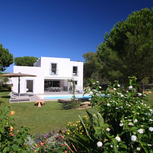 photo annonce 599