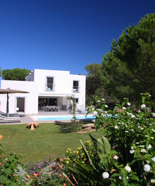 photo annonce 599