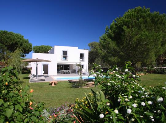 photo annonce 599