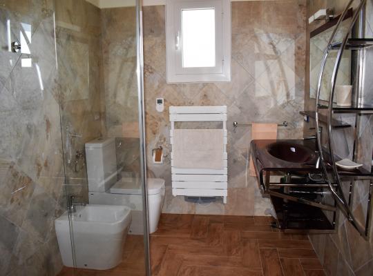 photo annonce 699