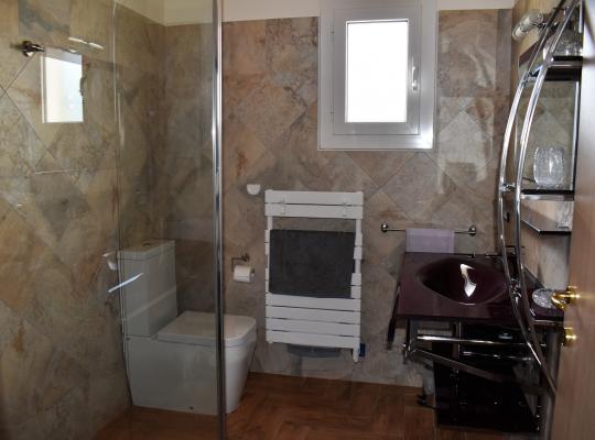 photo annonce 699