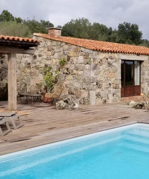 photo annonce 713