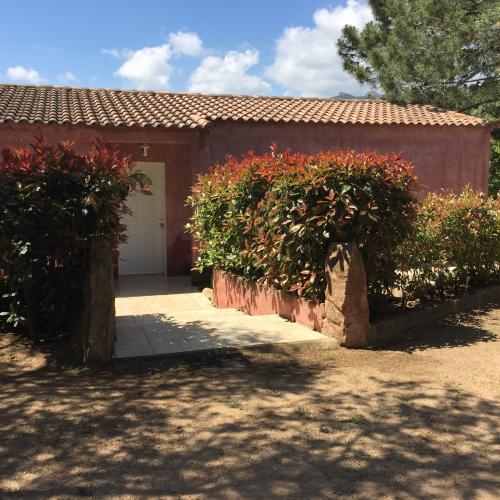 photo annonce 766