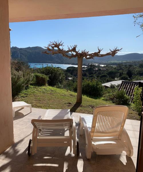 photo annonce 809