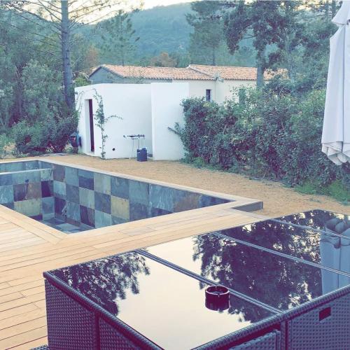 photo annonce 872
