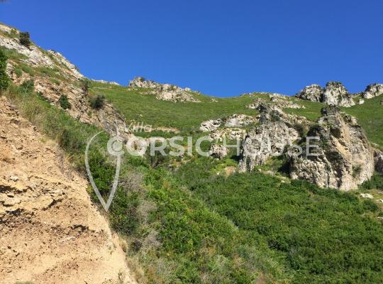 photo annonce 904