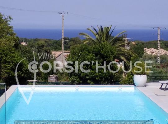 photo annonce 904
